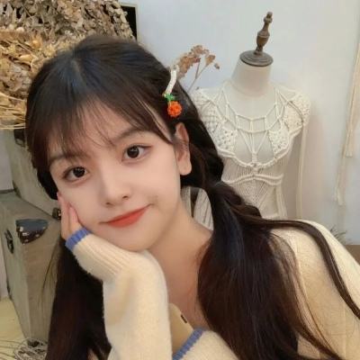 一码一肖100准资料应用